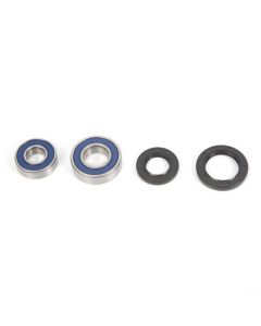 All Balls ATV Wheel Bearing & Seal Kit Eskape.ca